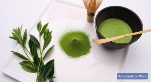 Harnessing the Power of Matcha