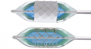 B. Braun Interventional Systems Launches Expanded CP Stent Portfolio 