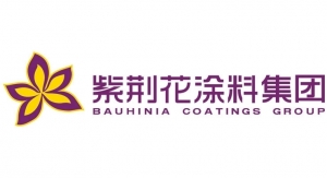 58. Bauhinia Coatings Group