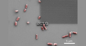 High-Tech Dentures: Fighting Bacteria with Nanotechnology