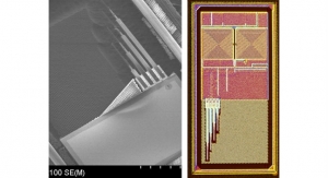 Tiny Electronic Chip Could Help Boost Neurological Disorder Treatment 