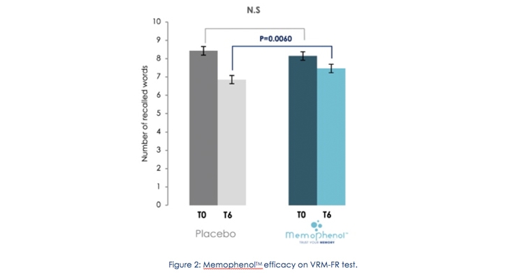 Study Demonstrates Memophenol’s Benefits for Senior Memory
