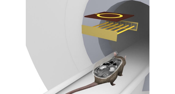 Russian Scientists Design New MRI Coil for Preclinical Studies