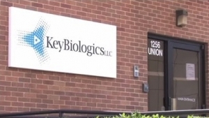 Key Biologics, BCA Partner for Cell Therapy
