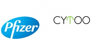 Pfizer, CYTOO in Research and Option Agreement 