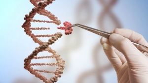 Oxford Genetics & ERS Genomics Extend Agreement