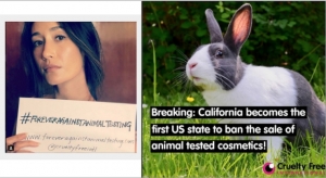California Bans the Sale of Animal-Tested Cosmetics