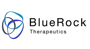 BlueRock, McEwen Stem Cell Institute Expand Alliance