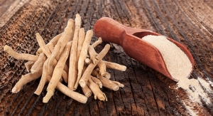 Study Finds Sensoril Ashwagandha Improves Strength Training Adaptations & Recovery