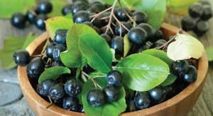 Artemis International to Promote Aronia Berry for Heart Health in 2019