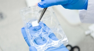 Scientists Develop Self-Dissolvable Antibacterial Bandages