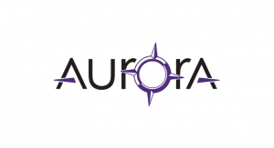Aurora Spine Gains U.S. Patent for Minimally Invasive Spinal Implants