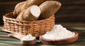 Biofortified Cassava High in Iron & Zinc Could Improve Nutrient Deficiency in West Africa