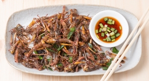 Are Consumers Open to Eating Insect Protein?
