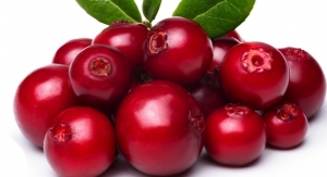 Cranberry Component New for Skin Care Formulations