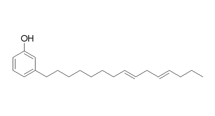 Cardanol –  An Eco-friendly Isocyanate Blocking Agent 