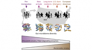 The Effect of Migration on Microbiome & Obesity