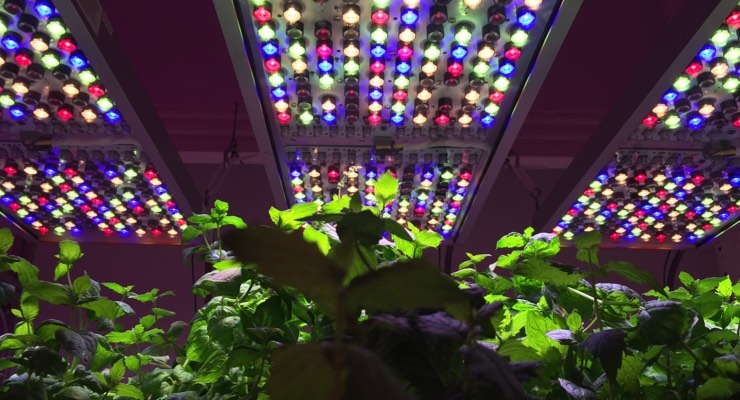 Osram Unveils Grow Light System for Horticulture Research