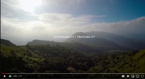 Sustainability and Traceability
