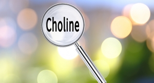 Choline: The Essential Nutrient Americans Still Aren’t Consuming Enough