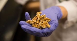 Consumption of Walnuts May Alter Gene Expression of Breast Cancers