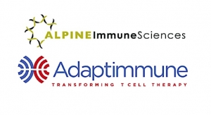 Adaptimmune, Alpine Immune Sciences Enter Next-Gen SPEAR T-Cell Pact  