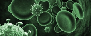 Virus Safety of Biopharmaceuticals