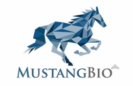 Mustang Bio’s AML Treatment Receives Orphan Drug Designation 