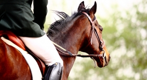 Longvida Curcumin May Help Reduce Pain and Lameness in Horses with Osteoarthritis