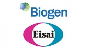 Eisai, Biogen Discontinue Phase III Alzheimer