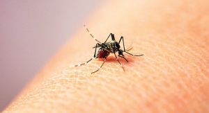 UK Man Patents Insect Repellent