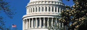 Capitol Comments: FDA Should Withdraw NDI Guidance