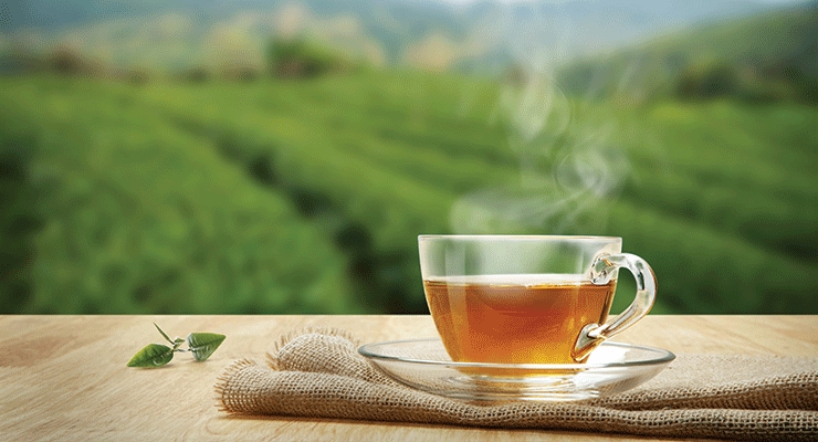 Tea: A Beverage Steeped in History & Health Benefits