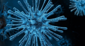 UK Awards Grant for Development of Rapid Coronavirus Test