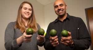 Daily Avocado Consumption Linked to Attention Improvements in Overweight, Obese Adults 