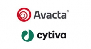 Avacta, Cytiva Collaborate on COVID-19 Rapid Test