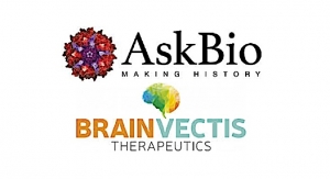 AskBio Acquires BrainVectis 