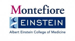 Montefiore, Einstein Test New Drug Combo to Conquer COVID-19