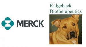 Merck and Ridgeback Bio Collaborate