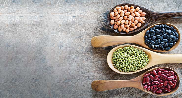 What’s Next for Plant-Based Nutrition?