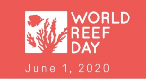 Raw Elements Marks World Reef Day