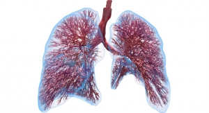 Computational Lung Model Could Significantly Reduce COVID-19-Related Deaths