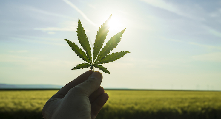 CRN Files Citizen Petition Calling on FDA to Regulate CBD as a Legal Dietary Supplement 