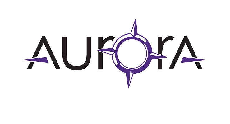 Aurora Spine Names New CFO