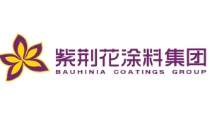 Bauhinia Coatings Group