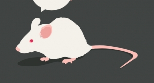 Nicotinamide Riboside Shown to Correct Social Deficits in Mouse Model of Autism