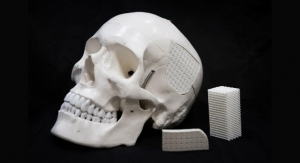 Eggshell-Based Surgical Material for Skull Injuries