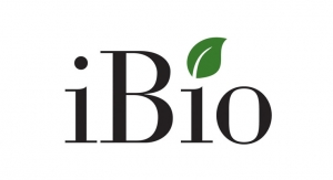 iBio Advances COVID-19 Vaccine Candidate