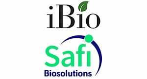 iBio Enters into Agreement with Safi Biosolutions