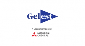 Gelest Names CEO